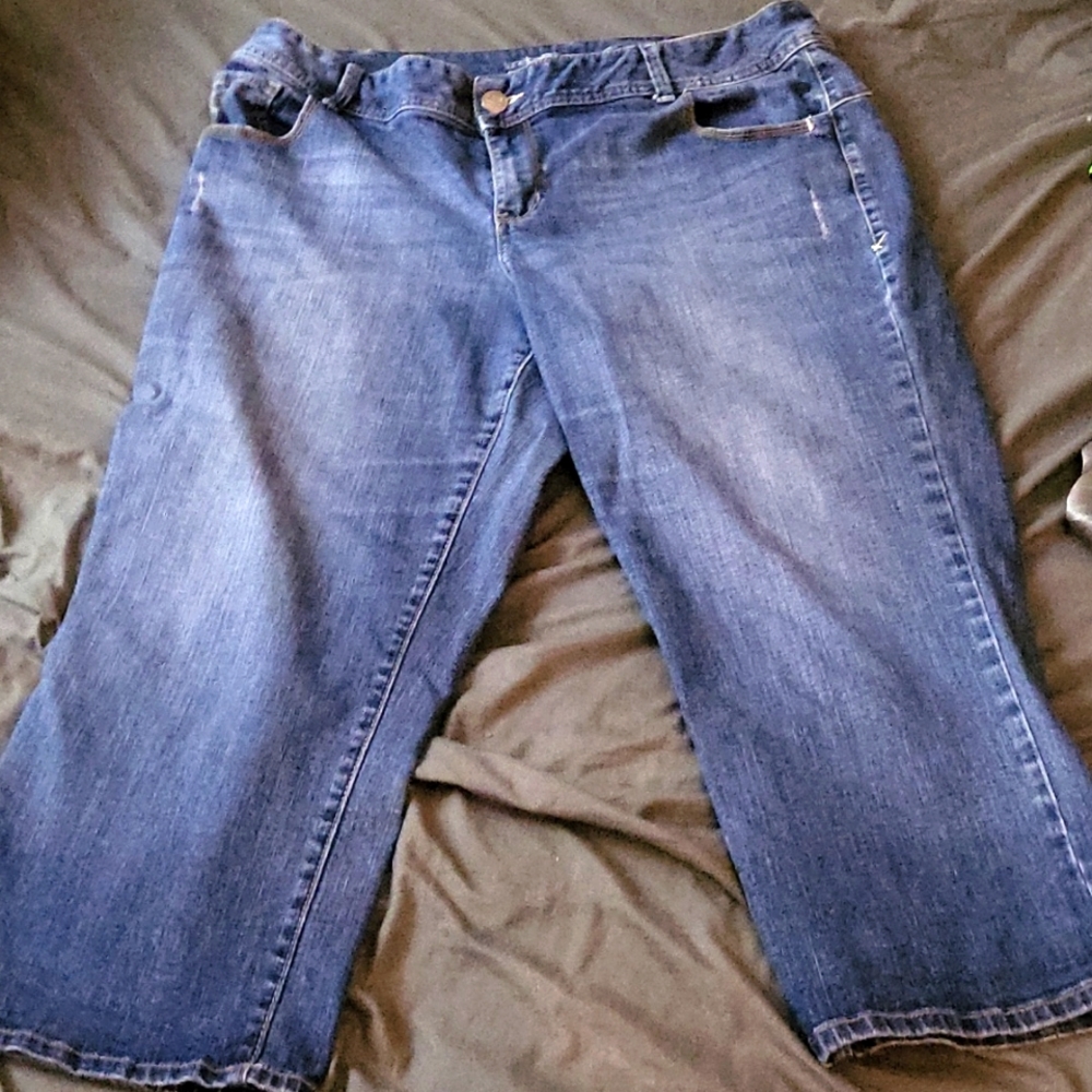 Size 18 Capri Lane bryant